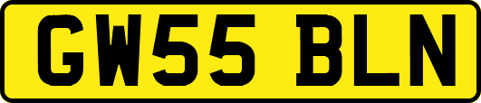 GW55BLN