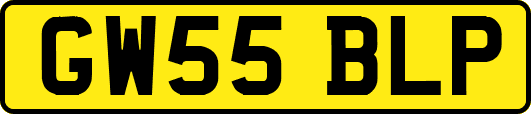 GW55BLP
