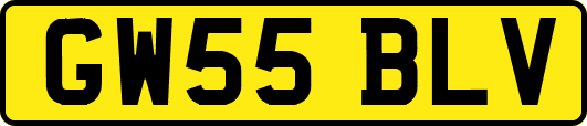 GW55BLV