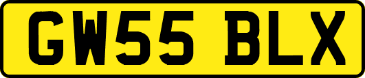 GW55BLX