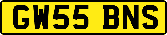 GW55BNS