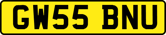 GW55BNU