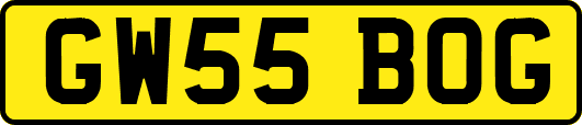 GW55BOG