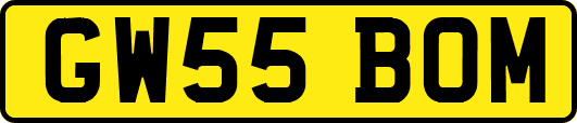 GW55BOM