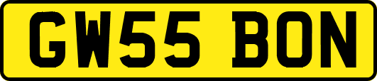 GW55BON