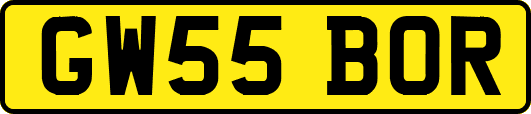 GW55BOR