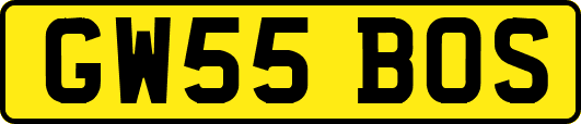 GW55BOS