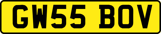 GW55BOV