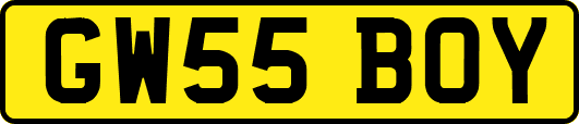 GW55BOY