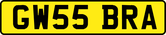 GW55BRA