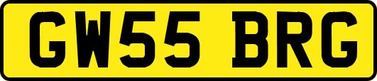 GW55BRG