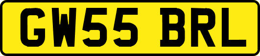 GW55BRL