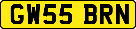 GW55BRN