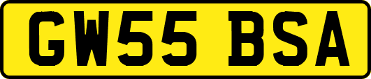 GW55BSA
