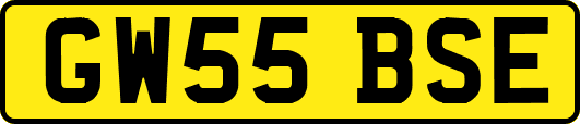 GW55BSE