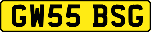 GW55BSG
