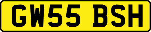 GW55BSH