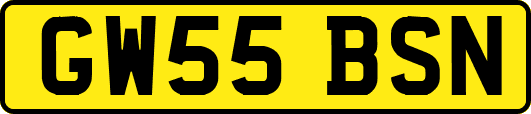 GW55BSN