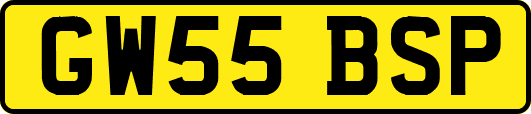 GW55BSP