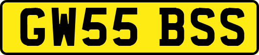 GW55BSS