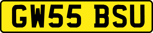 GW55BSU