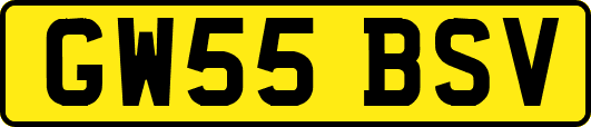 GW55BSV