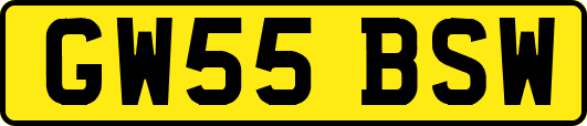 GW55BSW