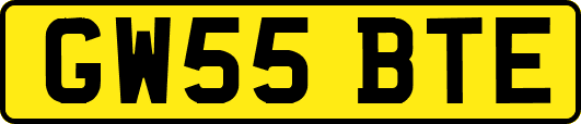 GW55BTE