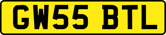 GW55BTL