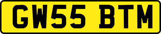 GW55BTM