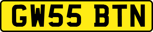 GW55BTN
