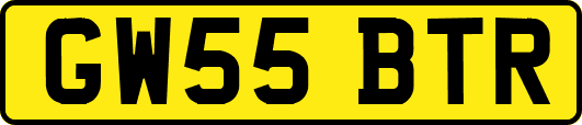 GW55BTR