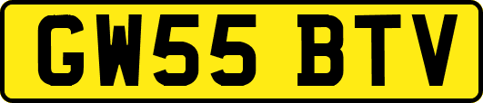 GW55BTV