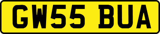 GW55BUA