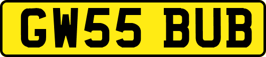 GW55BUB