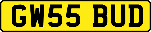 GW55BUD