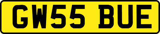 GW55BUE