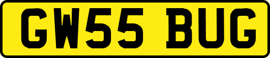 GW55BUG