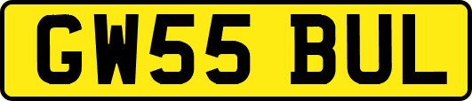 GW55BUL