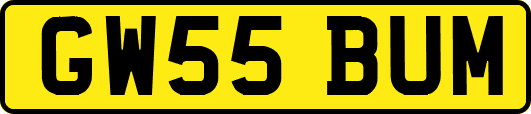 GW55BUM
