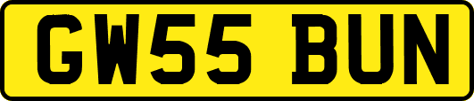 GW55BUN