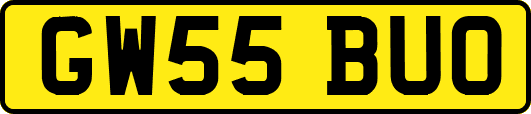 GW55BUO