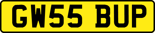 GW55BUP