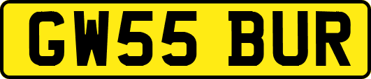 GW55BUR