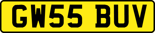 GW55BUV