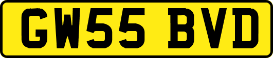 GW55BVD