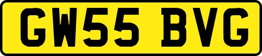 GW55BVG