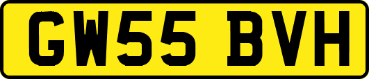 GW55BVH
