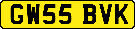 GW55BVK