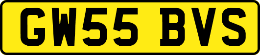 GW55BVS